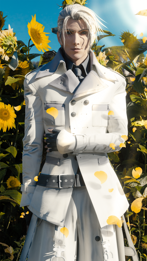 sunflower1080Pc632202cbd96e40f.png