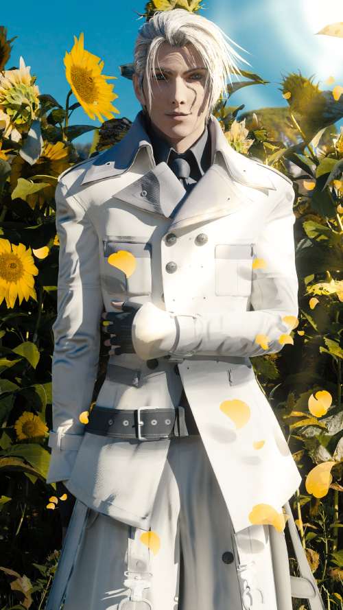 sunflower4K.png