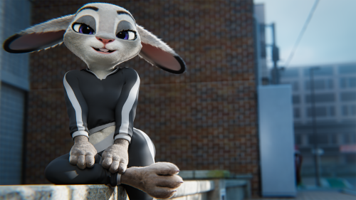 Judy_1080.png