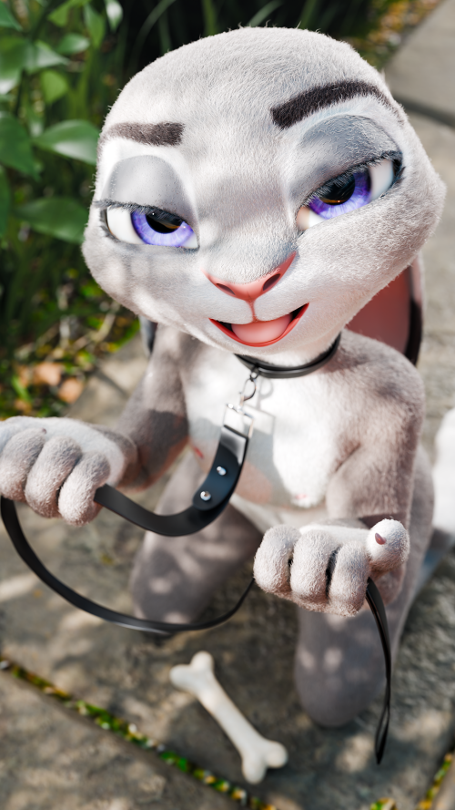 judypet_1080.png